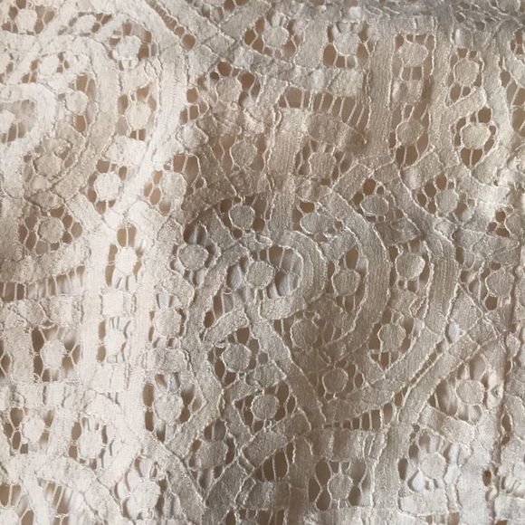 J Crew Factory Swirling Lace Fit and Flare Dress - Picture 11 of 11